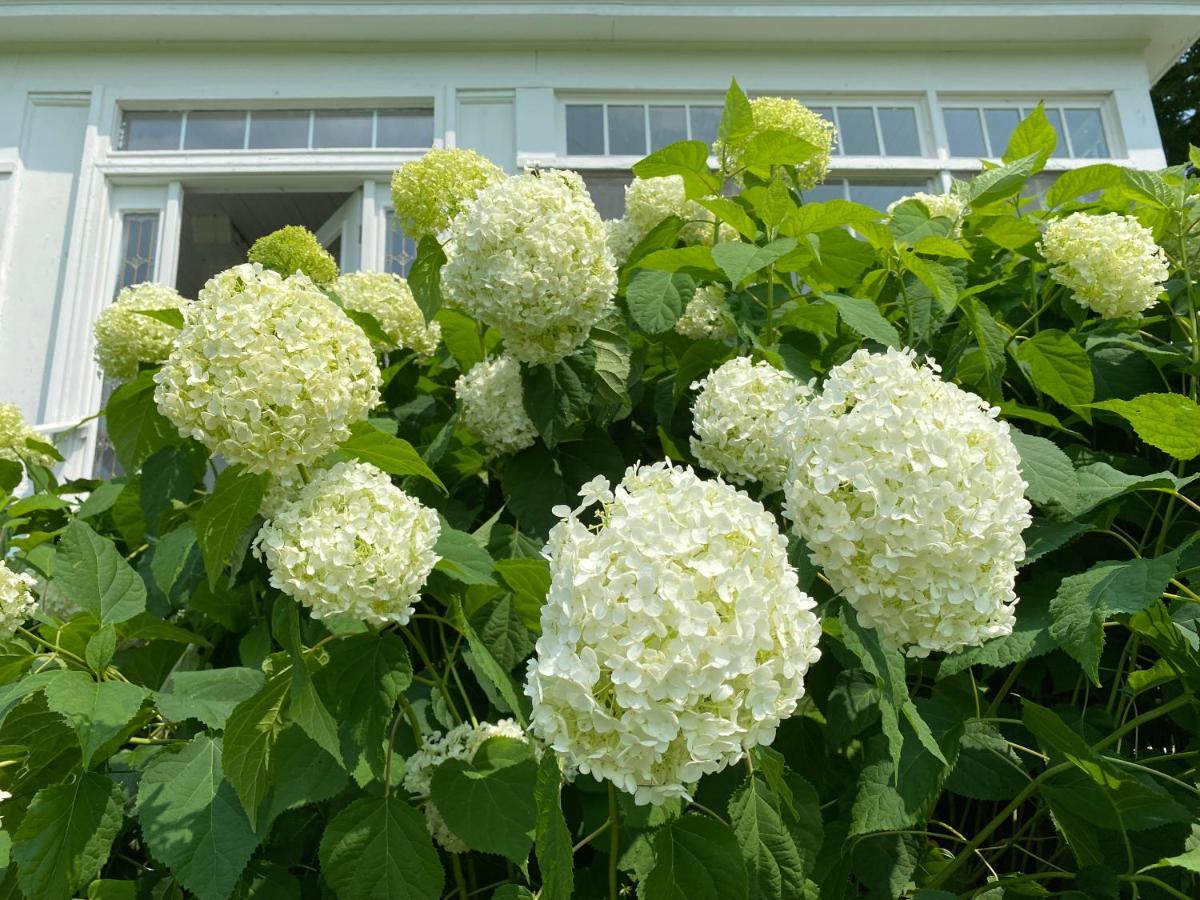 Bloom Farm Guesthouse Mount Vision Kültér fotó