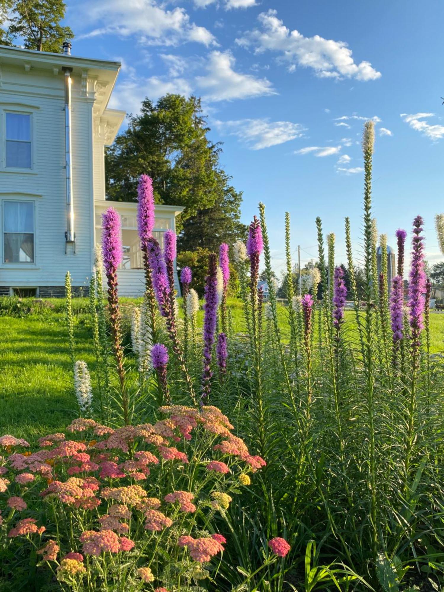 Bloom Farm Guesthouse Mount Vision Kültér fotó